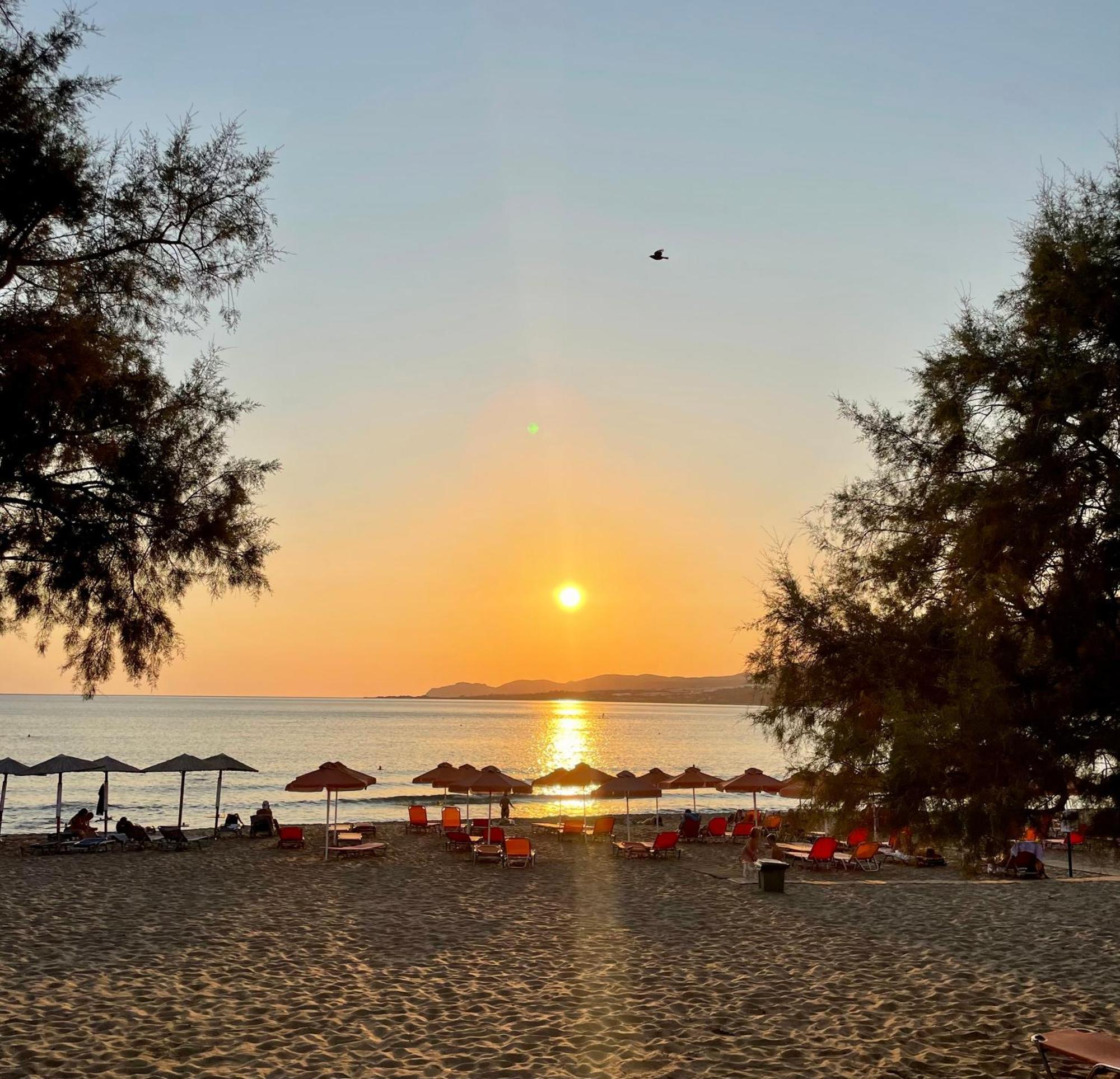 פליאוחורה Pal Beach מראה חיצוני תמונה